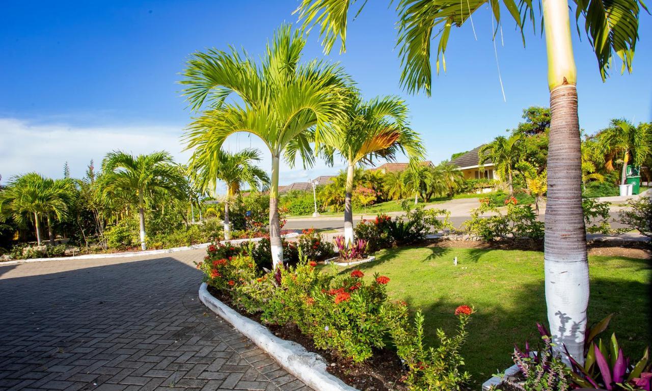 Nature'S Choice Home Richmond Palms, Jamaica Exterior photo