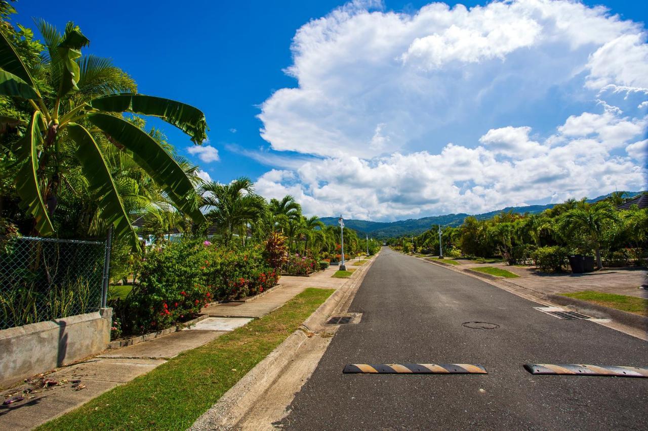 Nature'S Choice Home Richmond Palms, Jamaica Exterior photo