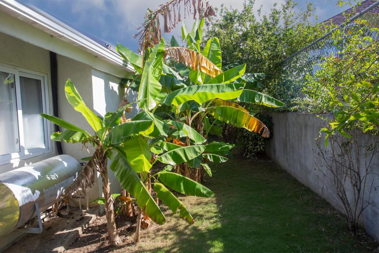 Nature'S Choice Home Richmond Palms, Jamaica Exterior photo