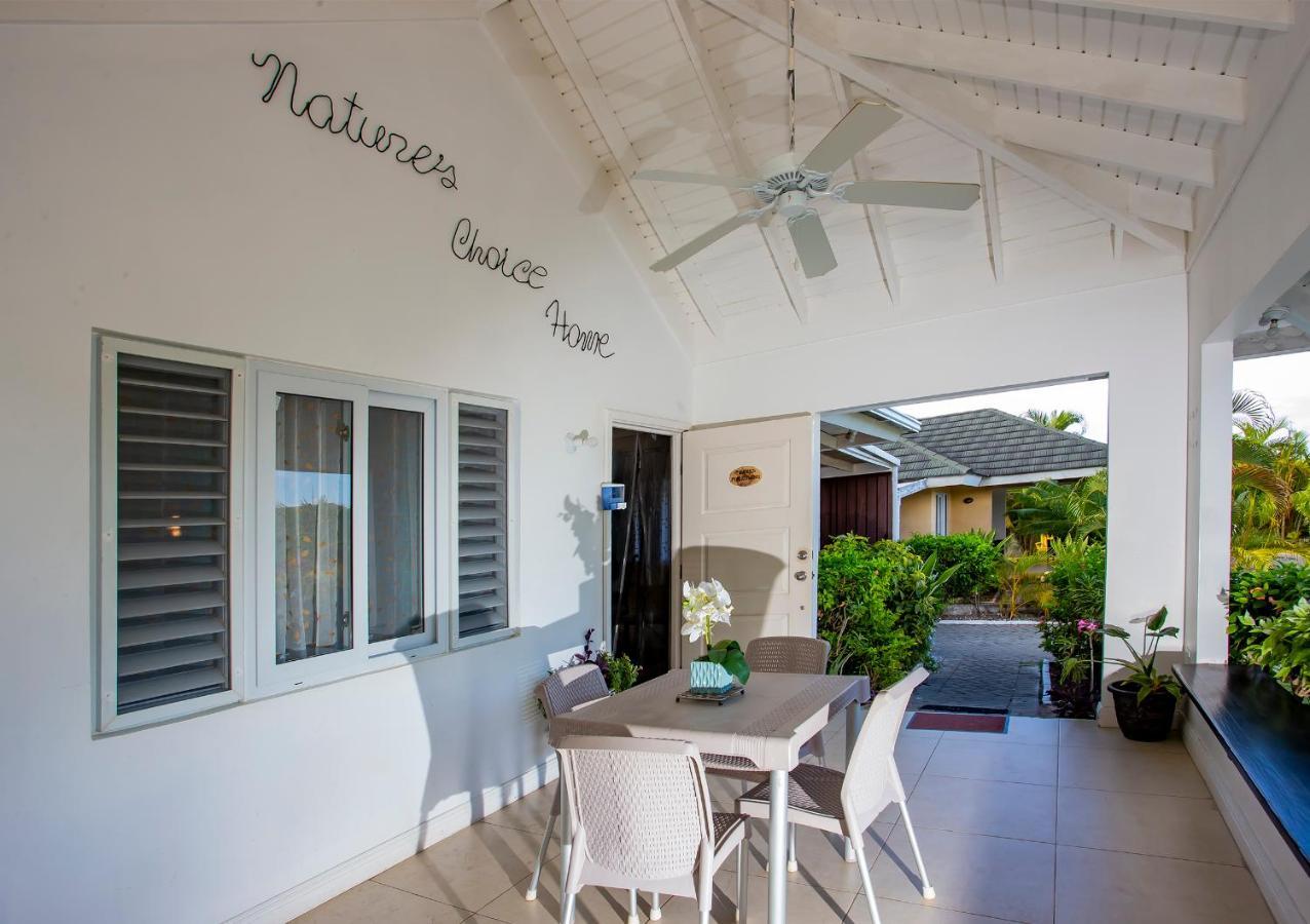 Nature'S Choice Home Richmond Palms, Jamaica Exterior photo