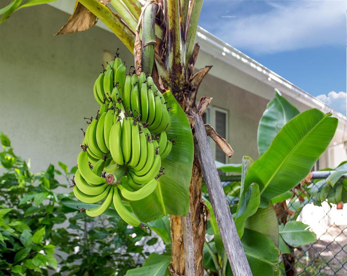 Nature'S Choice Home Richmond Palms, Jamaica Exterior photo